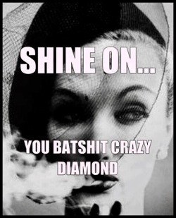 secretclosetfreak:  omgdirtydd:  missvaliant:  @omgdirtydd I love your batshit crazy and you shine brighter than any diamond I’ve ever seen. ❤️🐙💕👯💋💋  Like a spotlight 💋😈🐙♥️  @batshitcrazylover