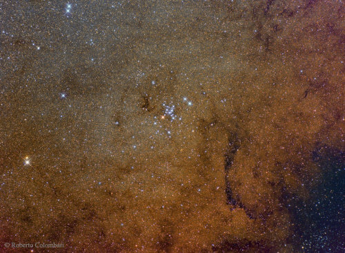 Open Cluster M7