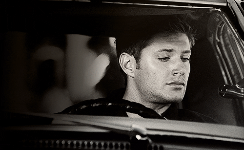 out-in-the-open:        Appreciation of Winchester genes 
