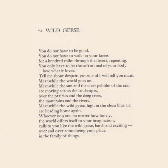 Poet Mary Oliver passed away today. Her work,... / Ace Hotel / Everything Will Be Okay