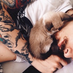 tattooedmenwithcats:  Instagram-inkeduplee