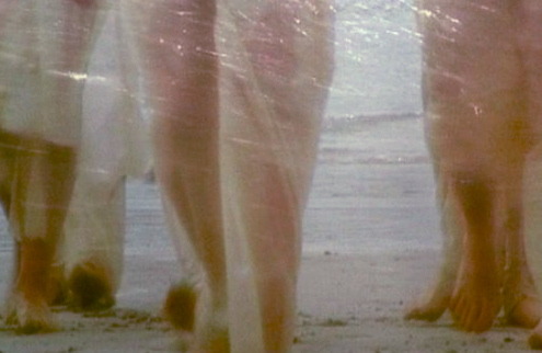 fohk:  Jill Orr 