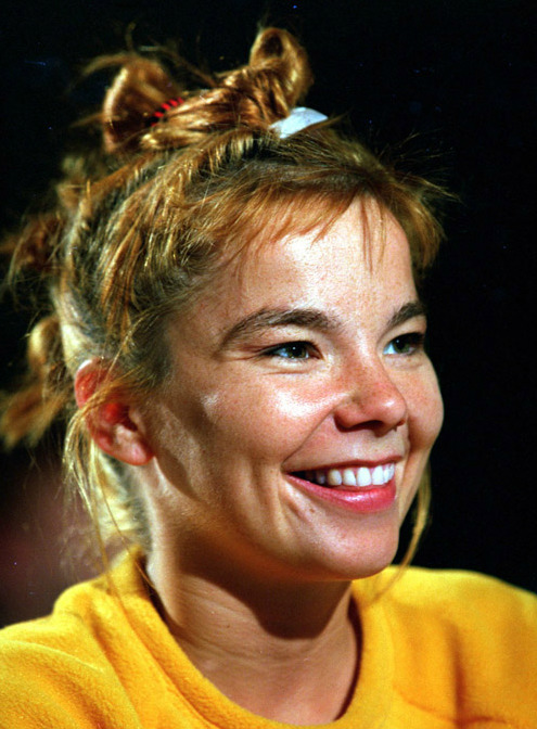 bjork is harsh noise