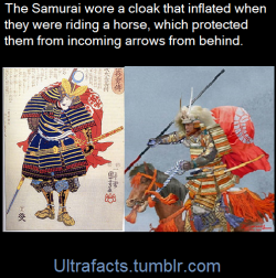 ultrafacts:A horo (母衣?) was a type of cloak or garment attached to the back of the armour worn by samurai on the battlefields of feudal Japan.(Fact Source) Follow Ultrafacts for more facts   