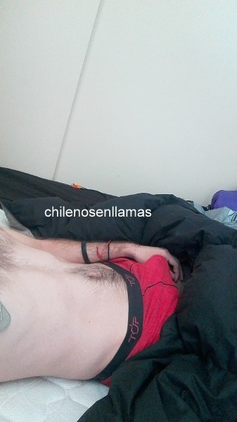 Sex chilenosenllamas:  Esteban, 25 años de Pudahuel. pictures