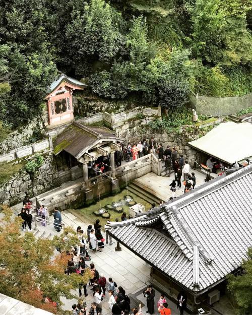 peppermint-moon: #japan #travel #kyoto #kiyomizudera #旅行 #清水寺 #京都 (at Kiyomizu-dera)