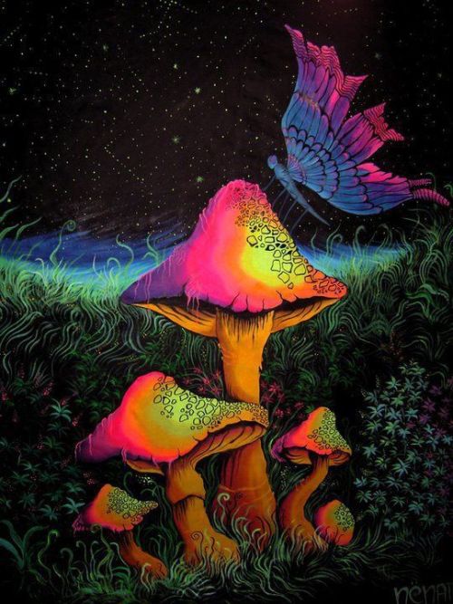 Psychedbutterfly#trippy #psychedeliclife #art #lsd #acid #dmt #love #psychedelicart #music #hippie #