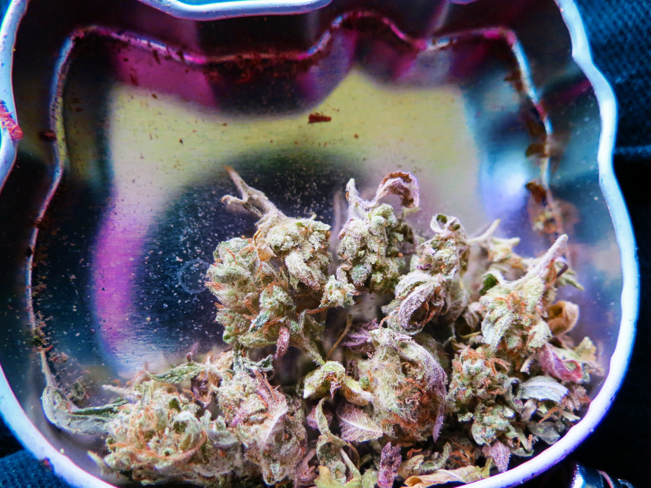 Smells Like Bong Water
