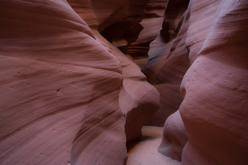 Canyon XAntelope Canyon in Arizona is a tight canyon formed by successive flash floods. Rivers and s