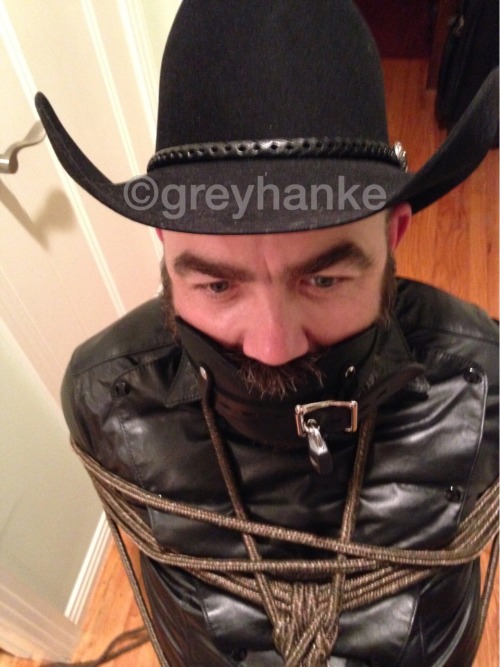 greyhanke:Cowbound ©greyhanke