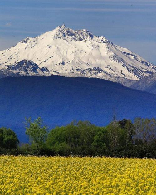 turnnoffyourmind: Spring Vibes ღ Nevado de Longaví, Linares, El Maule, Chile.