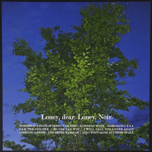 Loney, Dear – Loney, Noir. Sub Pop : 2007. #rock music#indie rock#folk rock#loney dear#2007#Sub Pop#2000s#2000s rock#singer songwriter