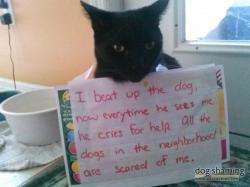 dogshaming:  Neighbourhood Bully Beats up