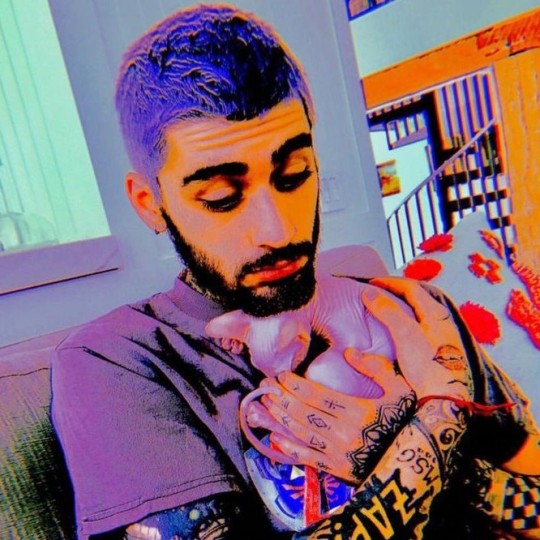 #zaynmalik | Tumblr