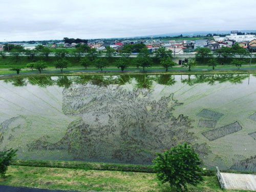 raffleupagus:  jimpluff:  Shin Gojira rice paddy art emerges, marking the official start of the Godz