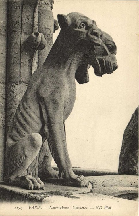 c86:Gargoyles of Notre Dame Cathedral