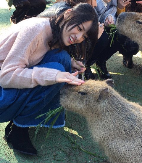 アニマル♡｜矢島舞美オフィシャルブログ Powered by Ameba