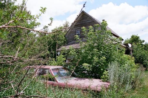 goldenprairies: Overgrowth in Northern Manitoba by Chloe Elizabeth