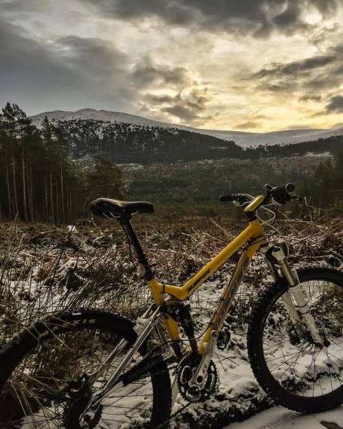 mountainbikingactionshots:  RG kiwibirdsweeepics: Good bye snow, hello rain! You were great while yo