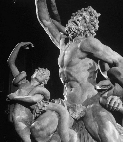 ganymedesrocks:Thank You for a magnificent post of details of the statue of Laocoön and His Son