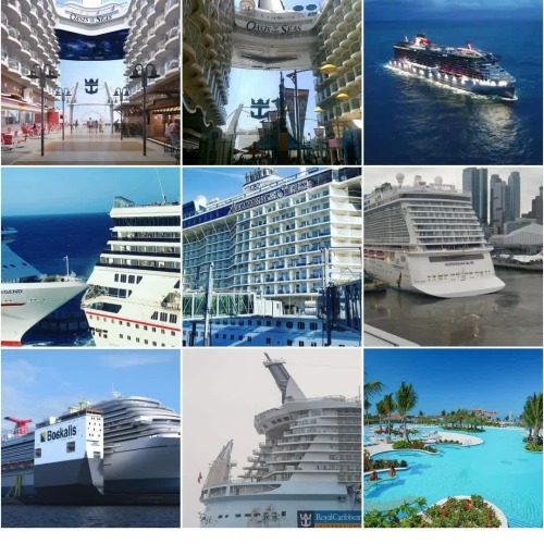 2019 was a great year for Cruise Ship Crayz on Instagram! We close this year with over 17 million In
