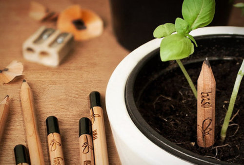 oliviiaaaaaaaa:  sixpenceee:  Sprout Pencils The Sprout eco pencil, developed by a group of MIT students, is made of cedar and uses graphite and clay in place of lead. A seed capsule is fitted to the end of each pencil and once they become unusable, the