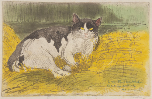 Théophile Alexandre Steinlen (Swiss; 1859–1923 )Vieux chat noir et blanc dans l’herbe = Old Black-an