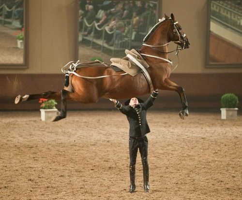 ceruleancynic:horseingaboutt:browbands:&ldquo;look at my entire horse&rdquo;Still one of the