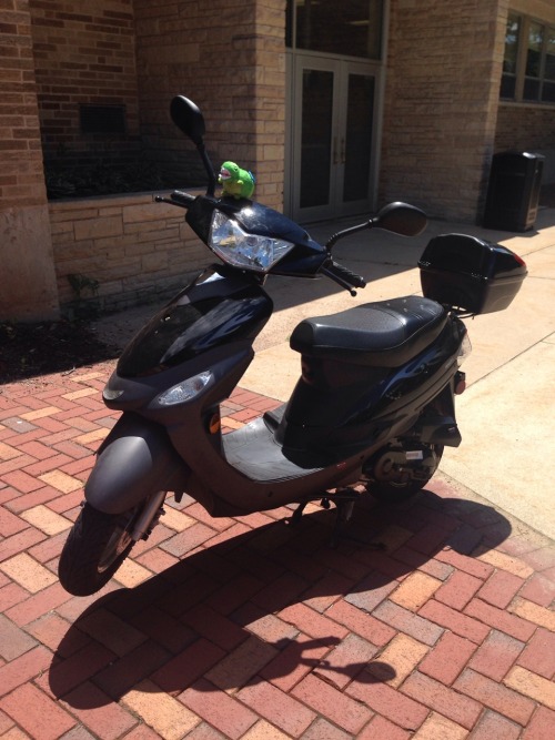 Our friend is popping a wheelie on his moped outside of Albee Hall! Weeeeeeee! -Mariah