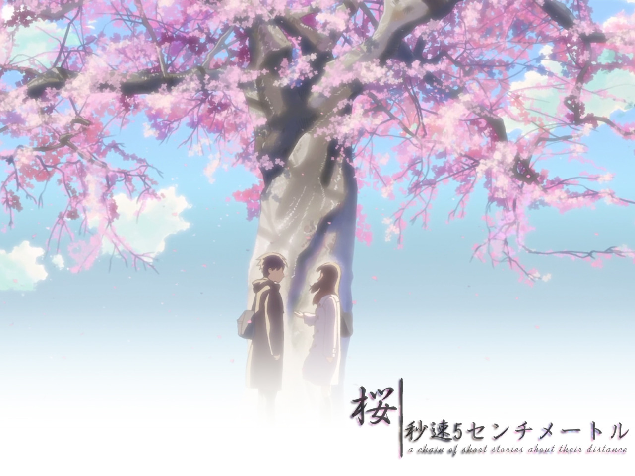 The Cantabile Life Short Review 5 Centimeters Per Second Anime