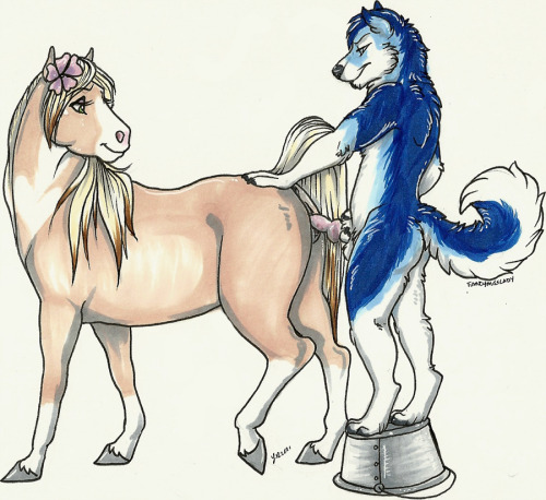 Request #1 (request link here) : Anthro male furries on feral female horsesHonestly I donâ€™t particularly like most of these pictures with these specifications personally, which is kind of a first for my blog, but since I have an affinity for equines