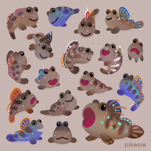 Mudskipper