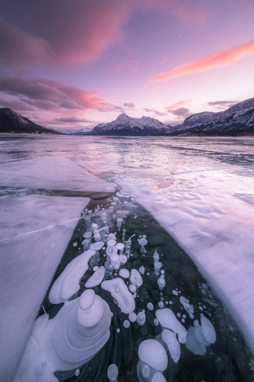 Porn satakentia: Abraham Lake SunsetBanff National photos