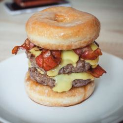 sexymeals:  Donut Double Burger [OC] [795 x 795] 