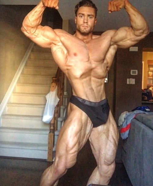musclestimulus:MuscleStimulus.com  ::  Chris Bumstead