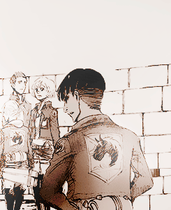 ohbucky:  SHINGEKI NO KYOJIN | MILITARY BRANCHES 