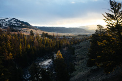 jonahreenders:  the yellowstone river around