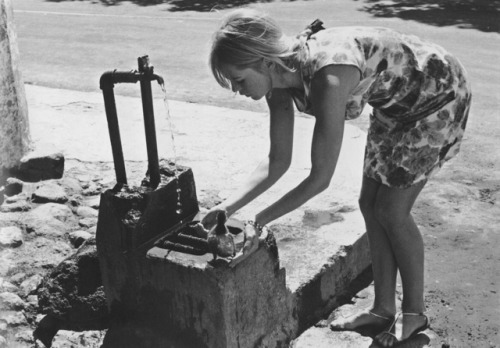 Brigitte Bardot and the little duckling she adopted, on the set of VIVA MARIA! (1965).