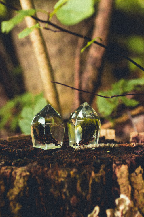 mossofthewoodsjewelry:Some preview photos of my brand new moss collection that will be added to my s