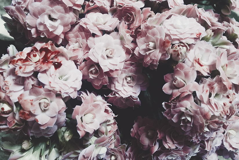 lauramakabresku:  23:00