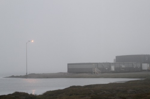 highways-are-liminal-spaces: The final 20 miles of the Dalton driven in the fog, North Slope, Alaska