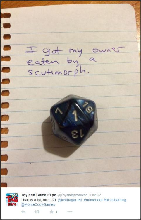 diceshaming