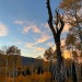 sagebrushandsoil:Hello Autumn 🍂 I love you 