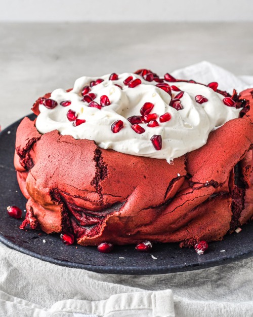 sweetoothgirl:Flourless Red Velvet CakeOMG when Rennesme found out her dad thought he was honest to 