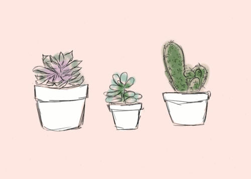 (ﾉ◕ヮ◕)ﾉ*:･ﾟ✧