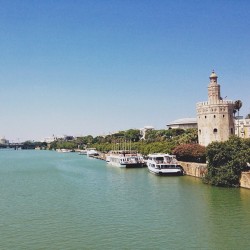 ryanmat:  Sunday  (at Río Guadalquivir)