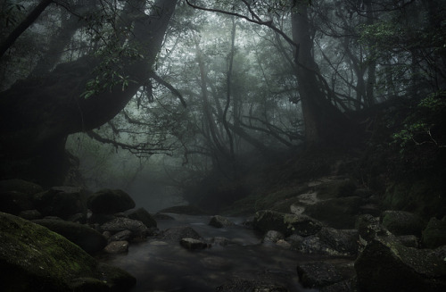 viα japanlove: Yakushima by CaDs on Flickr.