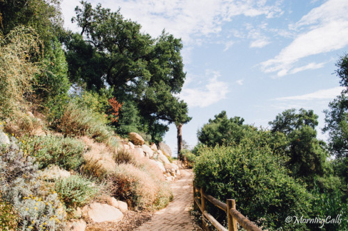 morningcallsphotography:Santa Barbara Botanic GardenSanta Barbara, California©morningcallsphoto