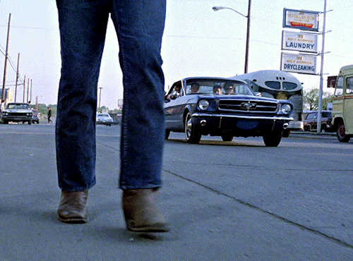 victoria-pedretti:Stay gold, Ponyboy.The Outsiders (1983) dir. Francis Ford Coppola