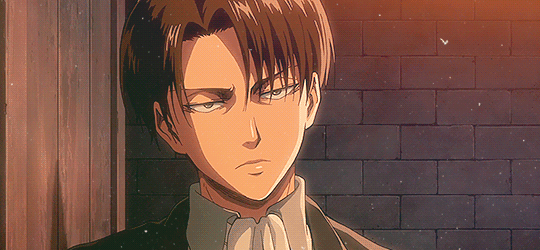 Happy Birthday, Levi Ackerman! [Dec. 25]